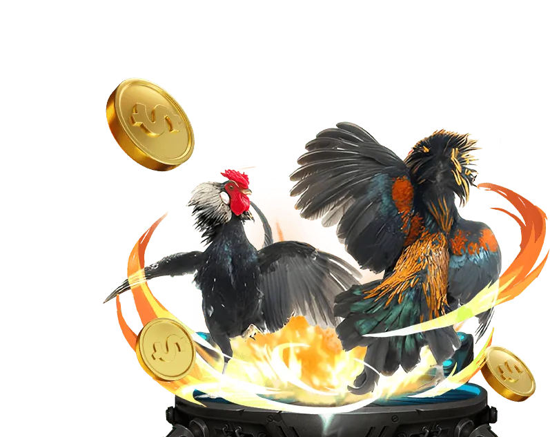 Xem đá gà trực tiếp trên ứng dụng di động