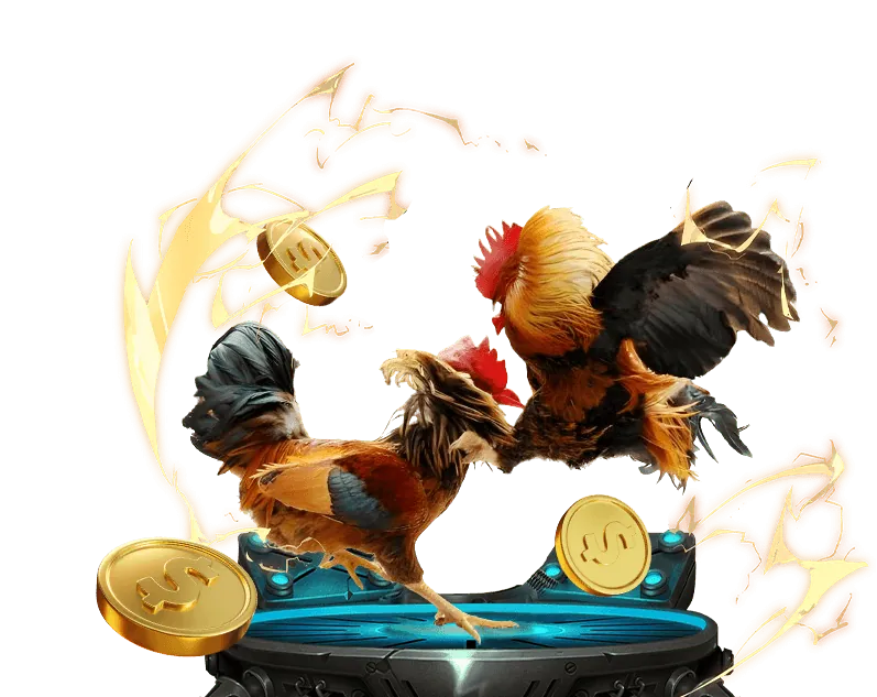 Xem trực tiếp các trận đá gà đỉnh cao với chất lượng HD